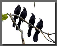 CLICK to enlarge image # 6