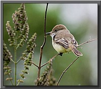 CLICK to enlarge image # 15