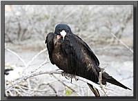 CLICK to enlarge image # 23