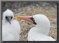 CLICK to enlarge image # 25