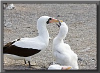CLICK to enlarge image # 27