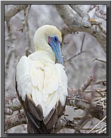 CLICK to enlarge image # 35