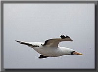 CLICK to enlarge image # 20