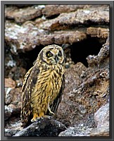 CLICK to enlarge image # 33