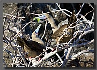 CLICK to enlarge image # 54