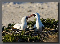 CLICK to enlarge image # 58