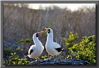 CLICK to enlarge image # 59