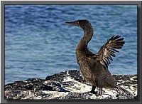 CLICK to enlarge image # 5