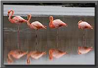 CLICK to enlarge image # 12