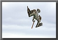 CLICK to enlarge image # 99