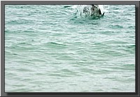 CLICK to enlarge image # 101