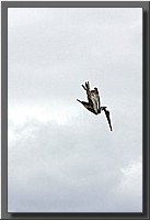 CLICK to enlarge image # 109