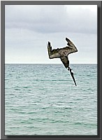 CLICK to enlarge image # 111