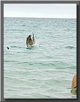 CLICK to enlarge image # 112