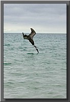 CLICK to enlarge image # 117