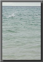 CLICK to enlarge image # 118