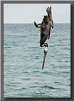 CLICK to enlarge image # 17