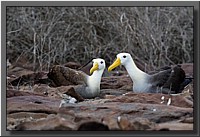 CLICK to enlarge image # 136