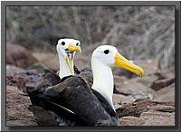 CLICK to enlarge image # 138