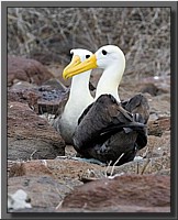 CLICK to enlarge image # 139