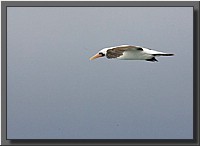 CLICK to enlarge image # 144
