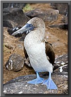 CLICK to enlarge image # 2