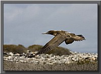 CLICK to enlarge image # 147
