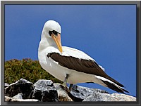 CLICK to enlarge image # 148