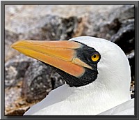 CLICK to enlarge image # 10