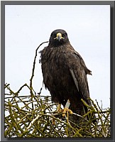 CLICK to enlarge image # 149