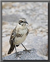 CLICK to enlarge image # 11
