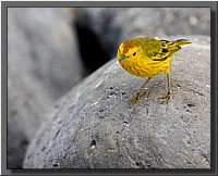 CLICK to enlarge image # 151