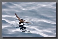 CLICK to enlarge image # 153