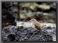CLICK to enlarge image # 9