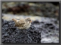 CLICK to enlarge image # 7