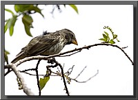 CLICK to enlarge image # 3