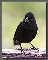 CLICK to enlarge image # 2