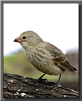 CLICK to enlarge image # 10