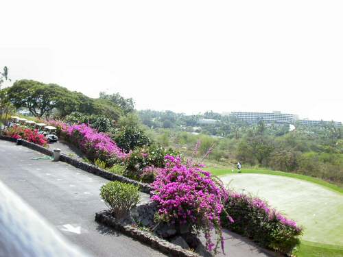 DSCN6528.jpg