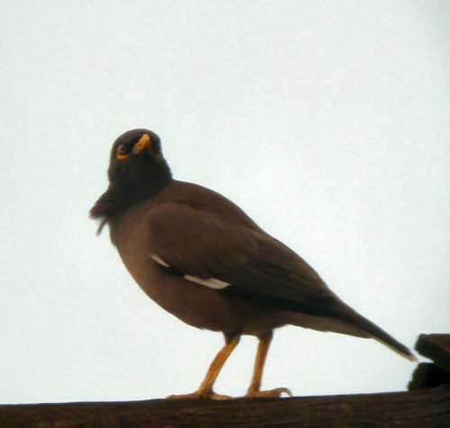 DSCN6553.jpg