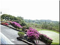 DSCN6528.jpg