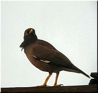 DSCN6553.jpg