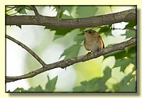 CLICK to enlarge image # 2