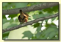 CLICK to enlarge image # 3