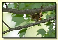 CLICK to enlarge image # 4