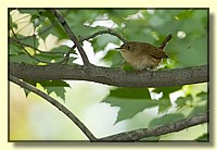 CLICK to enlarge image # 5