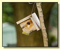 CLICK to enlarge image # 9