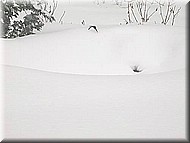 GBHandpond2527.jpg