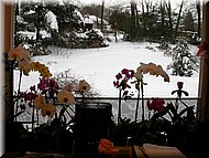 Kitchenwindow2525.jpg