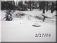 pond-l-17.jpg